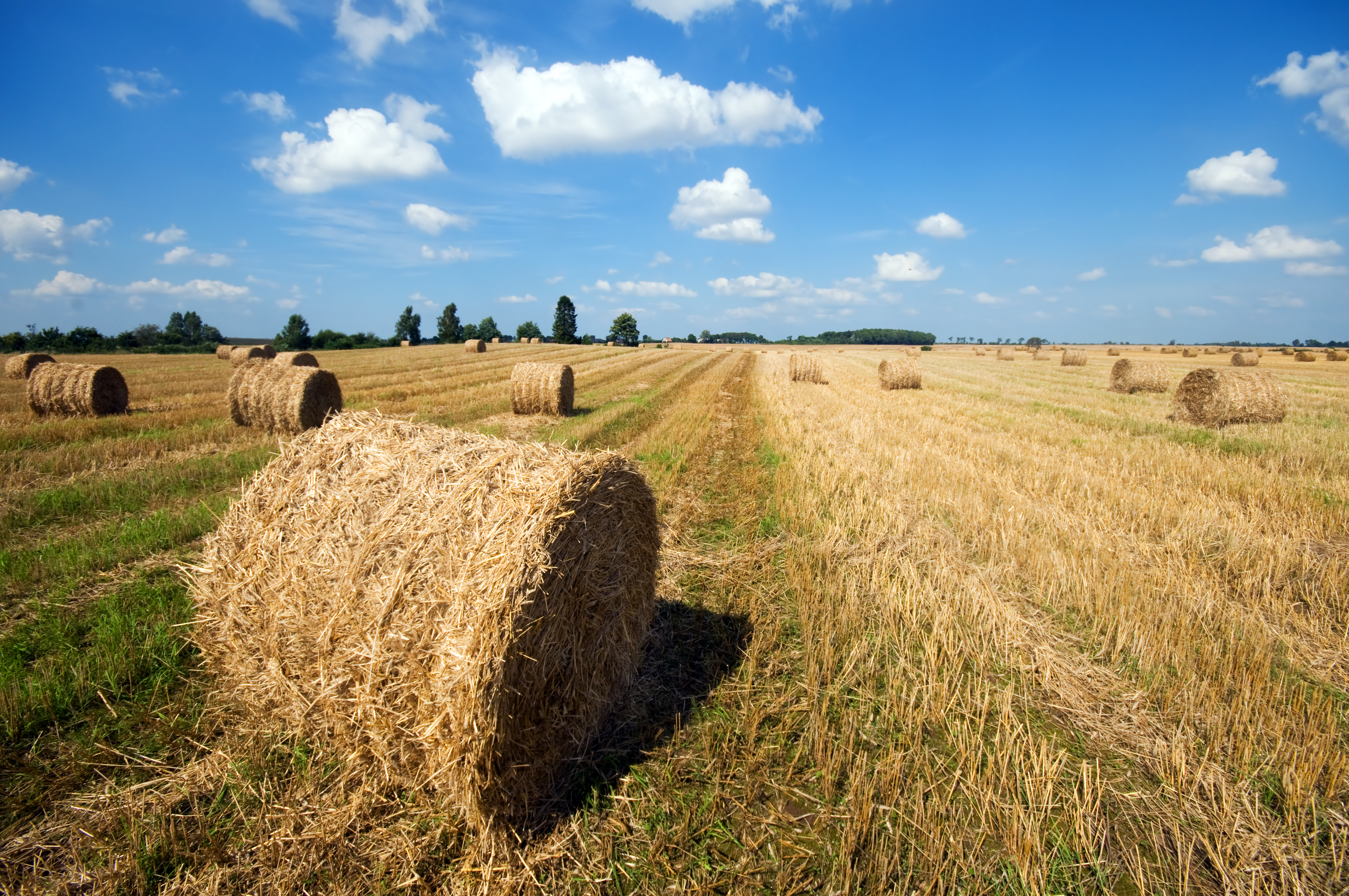 farm-field-with-hay-balls